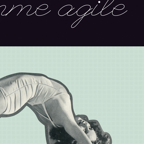The Agile Woman print - closeup